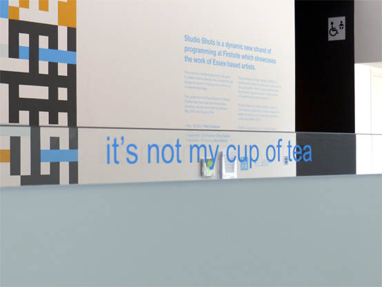 Philip Bradshaw, Installation view, That's Not What I Meant, Firstsite, Colchester, 2015, the garden looks nice